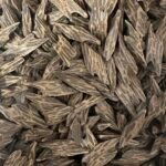 تايجر كمبودي زد ٣ دي