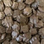 عود النجم الفيتنامي