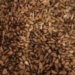 عود دقه موروكي